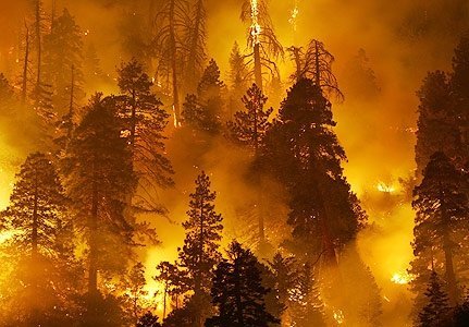 fire_lis